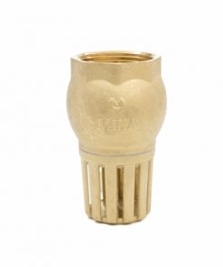 RỌ BƠM ĐỒNG DN21-DN114